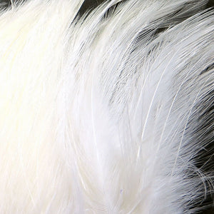 Saltwater Hackle Feathers 