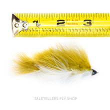 Load image into Gallery viewer, Barely Legal - Conehead - TaleTellers Fly Shop
