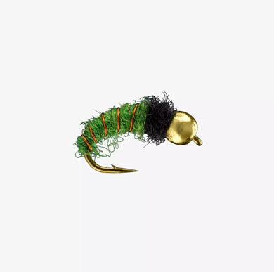 Caddis Larva Bead - TaleTellers Fly Shop