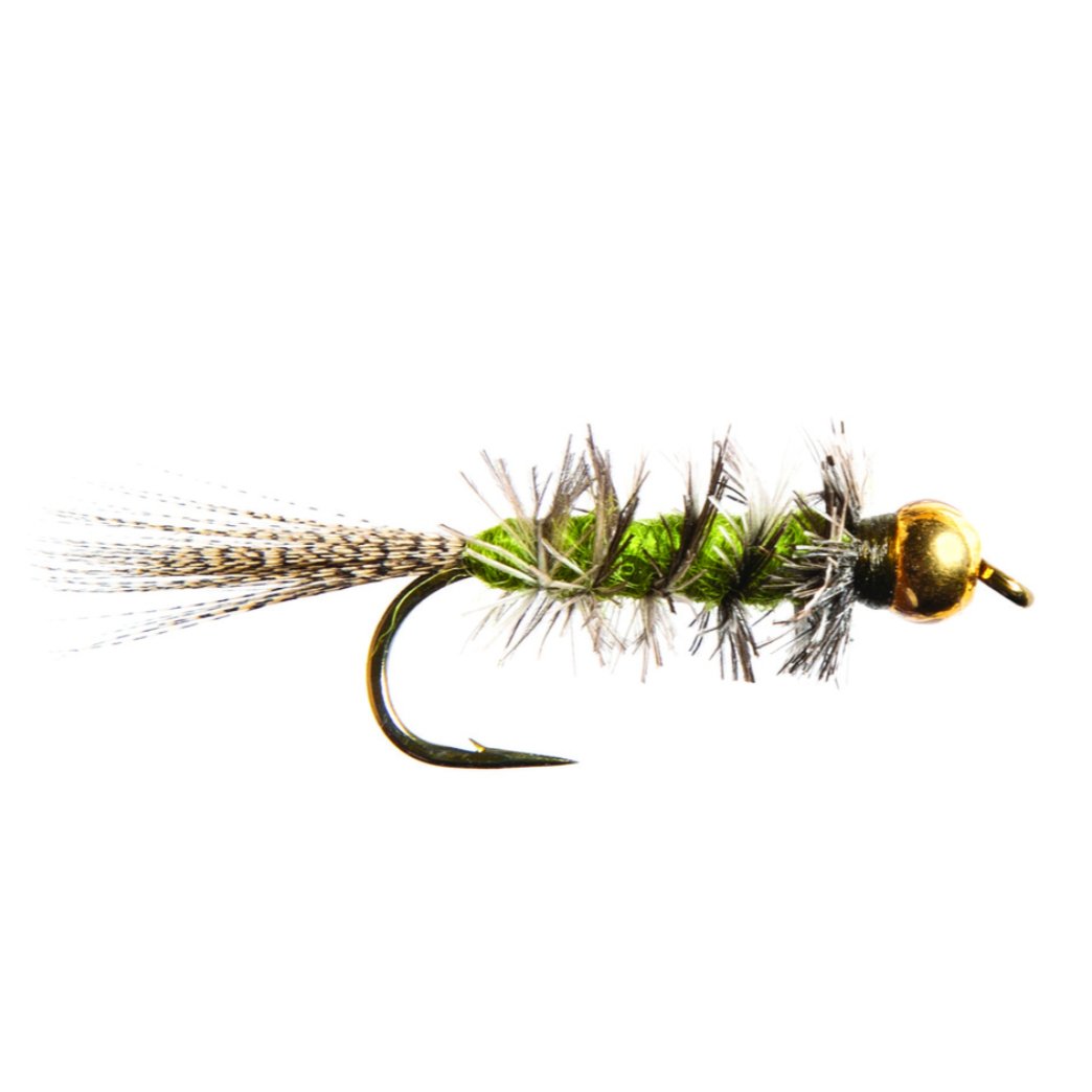 CK Nymph - TaleTellers Fly Shop