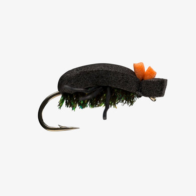 Foam Beetle - TaleTellers Fly Shop