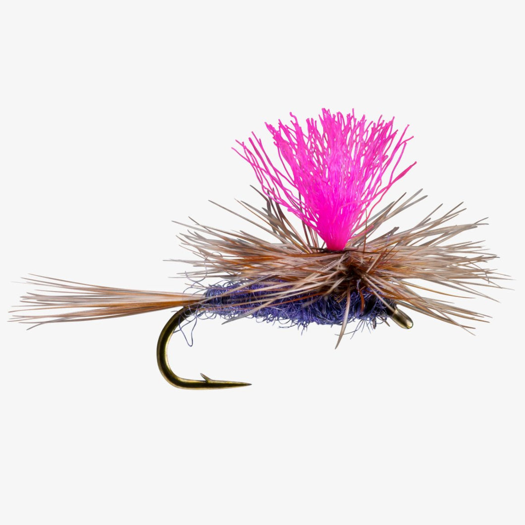 Hi Vis Purple Haze - TaleTellers Fly Shop