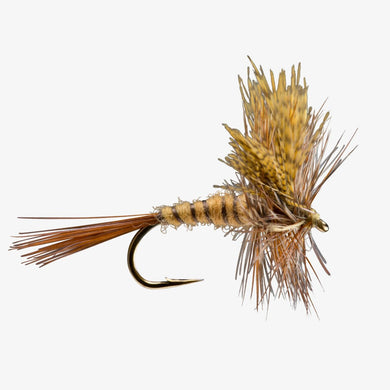 March Brown Dun - TaleTellers Fly Shop