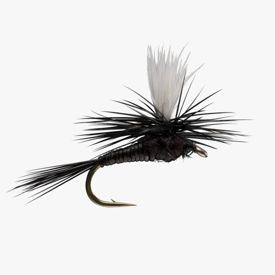 Quill Body Parachute - Black - TaleTellers Fly Shop