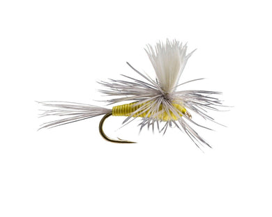 Quill Body Parachute - PMD - TaleTellers Fly Shop
