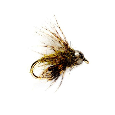 Soft Hackle Caddis Pupa (TBH) - TaleTellers Fly Shop