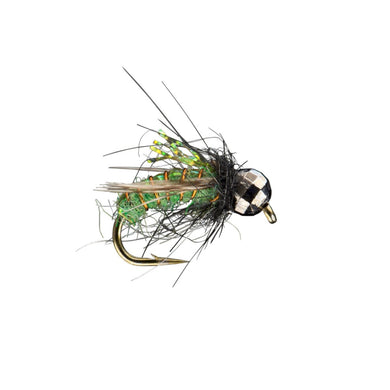 Super Pupa - Tungsten - TaleTellers Fly Shop