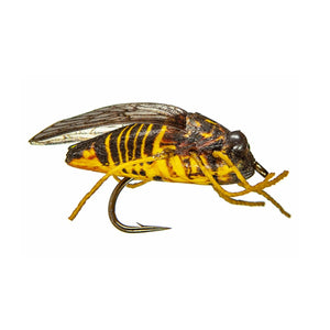 True Cicada - TaleTellers Fly Shop