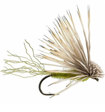 X Caddis - Olive - TaleTellers Fly Shop