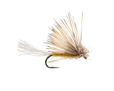 X - Caddis - Tan - TaleTellers Fly Shop