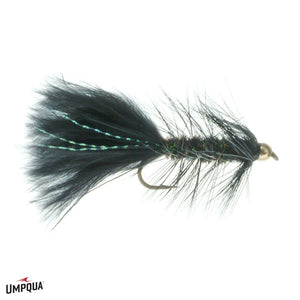 Wooly Bugger - Gold Bead - Peacock/Black