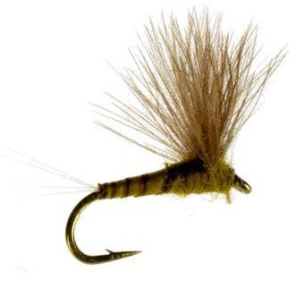 CDC - BWO - Blue Wing Olive